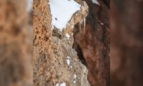 Bạn có thể phát hiện ra con báo tuyết đang ngụy trang khéo léo trong bức ảnh chụp vách đá 'cằn cỗi' này không?