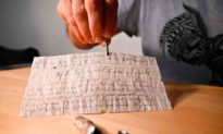 Cặp vợ chồng người Pháp phát hiện bức thông điệp bồ câu ‘siêu hiếm’ cách đây hơn 100 năm