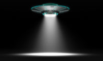 Từng chứng kiến ​​UFO 3 lần, người mẫu Anh tin rằng có tồn tại nền văn minh ngoài hành tinh