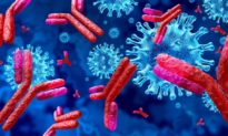 Vỏ quýt “virus COVID-19” dày bao nhiêu thì móng tay “hệ miễn dịch” nhọn bấy nhiêu