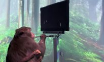 Công ty của Elon Musk trình diễn công nghệ chip não Neuralink giúp khỉ chơi trò chơi điện tử