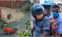 Ấn Độ: Mang thi thể người thân qua đời vì Covid-19 chạy khắp nơi tìm chỗ hỏa táng