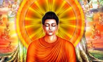 Phật Thích Ca Mâu Ni (Phần 5): Sa Vương nhường giang sơn, Tiên nhân nhờ tìm Pháp [Radio]