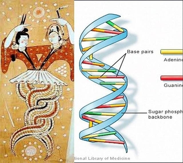 Bức tranh “giao đuôi” của Nữ Oa và Phục Hy được phát hiện trong mộ cổ nghìn năm tuổi ở Tân Cương. Chuyên gia: “Đây chẳng phải là DNA hay sao?”