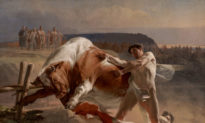 Sức mạnh của sự kiềm chế: “Ian Usmovets ngăn chặn một con bò đực nổi điên”