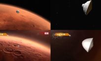 Video tàu thăm dò hạ cánh trên Sao Hỏa của Trung Quốc bị tố đạo NASA