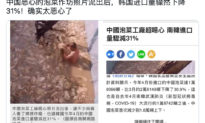 Trung Quốc: Bể muối kim chi bẩn chứa người và gầu máy múc khiến người dân phẫn nộ
