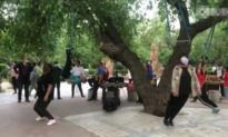 Người Trung Quốc 'treo đầu trên cây' để chữa bệnh
