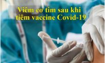 CDC lo ngại nguy cơ viêm tim sau khi tiêm vaccine Covid-19