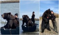 Đi câu cá cùng ‘gấu’: Cô gái người Nga dũng cảm nhận nuôi gấu làm thú cưng