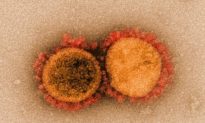 Các nhà virus học công bố phát hiện mới trong điều trị SARS-CoV-2