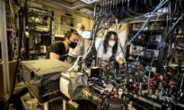 Đột phá về máy tính lượng tử của nhóm Harvard-MIT - ‘Chúng ta đang bước vào một phần hoàn toàn mới của thế giới lượng tử’