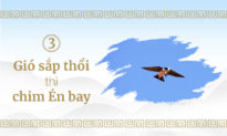 Ấu Học Quỳnh Lâm - Bài 3: Gió sắp thổi thì chim én bay