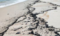 Quảng Bình: Xuất hiện vết dầu loang dọc bờ biển Hải Ninh