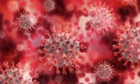 Biến thể mới của coronavirus ‘C.1.2’ xuất hiện ở Nam Phi