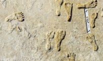 Dấu chân người lâu đời nhất ở Bắc Mỹ được tìm thấy ở New Mexico