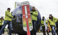 Kinh tế toàn cầu không thể ‘sống sót’ nếu thực hiện các cam kết chống biến đổi khí hậu (Kỳ 6)