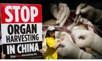 Đại học Quốc gia Úc: Các bác sĩ phẫu thuật Trung Quốc đã lấy ra tim và phổi của tử tù khi họ vẫn còn sống