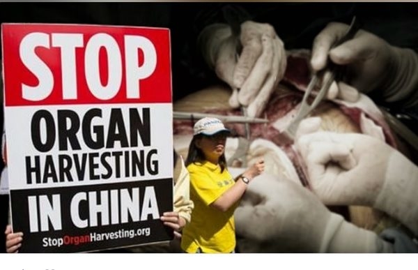Đại học Quốc gia Úc: Các bác sĩ phẫu thuật Trung Quốc đã lấy ra tim và phổi của tử tù khi họ vẫn còn sống