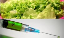‘Vaccine thực vật’ cho Covid-19 có thể sớm được tung ra thị trường