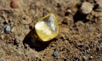 Tìm thấy viên kim cương vàng 4,38-Carat ở Công viên Tiểu bang California, Hoa Kỳ