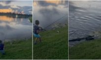 Cậu bé 7 tuổi câu được cá trên sông nhưng bị cá sấu lao tới cướp mất