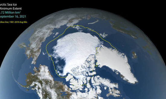 Năm sự thật giúp bạn hiểu thêm về băng biển và sự tác động đến Trái đất