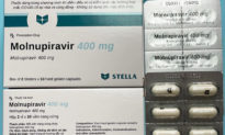 Bộ Y tế cấp phép khẩn cấp 3 loại thuốc Molnupiravir sản xuất tại Việt Nam