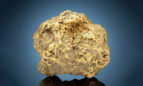 Khối vàng to như quả bóng được tìm thấy ở Alaska sẽ đấu giá vào tháng 12 ở Mỹ