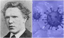 Phát hiện bầy vi khuẩn đột biến giống hệt tranh của họa sĩ Van Gogh