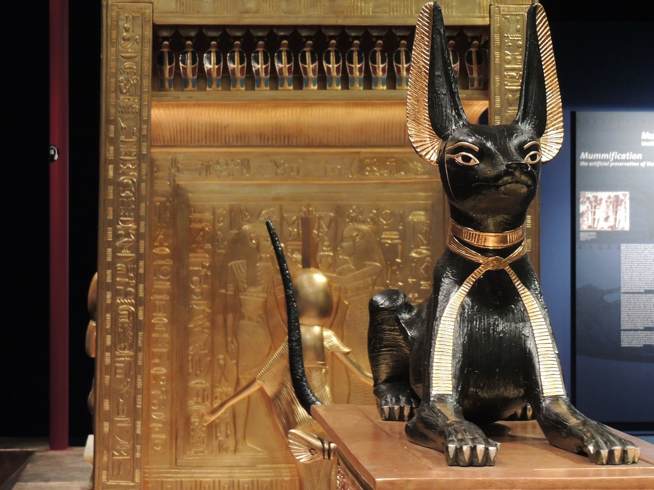 Người Ai Cập cổ đại tin rằng con mèo là thánh vật của mình (Ảnh: pixabay)