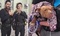 Cảnh sát thu phục ‘chó mẹ hung hăng’ trong ngôi nhà hoang và ‘tóm’ được hai cún con đáng yêu