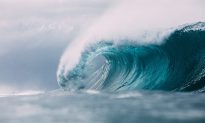 Bị sóng thần cuốn trôi, người đàn ông Tonga sống sót kỳ diệu sau 28 giờ trôi dạt trên biển
