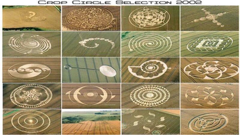 Năng lượng thần bí: Những vòng tròn kỳ lạ trên cánh đồng