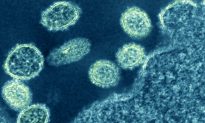 Các nhà khoa học cho biết virus corona có thể đã gây ra đại dịch 'cúm Nga' bí ẩn 130 năm trước