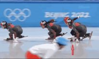 VĐV trượt băng tốc độ Trung Quốc bị nghi chơi xấu làm ngã VĐV Canada