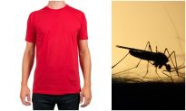 Nghiên cứu mới tiết lộ 4 màu áo này có thể thu hút muỗi hơn