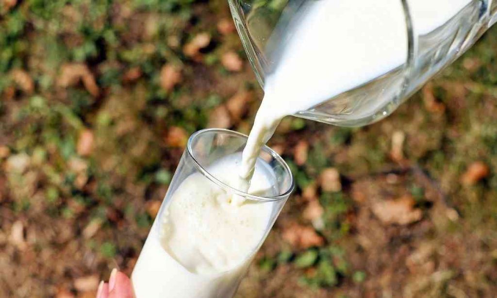 Cơ thể không dung nạp đường lactose, có thể uống sữa nhiều hơn để cải thiện không?