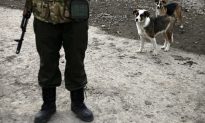 Những người lính Ukraine nhận nuôi cún con bị lạnh cóng, và giờ chú ta trở thành ‘an ninh’