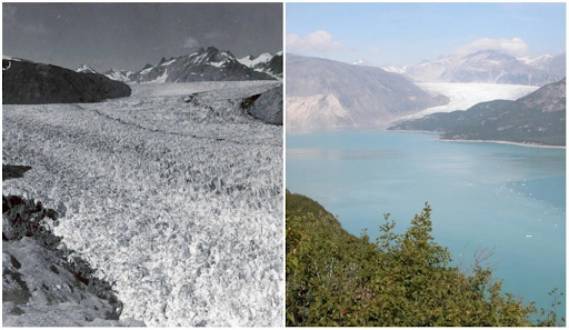 Sông băng Muir Glacier, Alaska. Tháng 8 năm 1941 - tháng 8 năm 2004. 