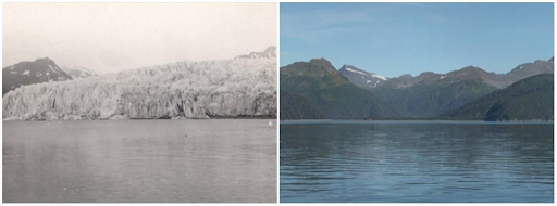 McCarty Glacier, Alaska, tháng 7 năm 1909 - tháng 8 năm 2004. 