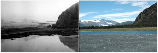 Sông băng Bear, Alaska tháng 7 năm 1909 - tháng 6 năm 2005. 