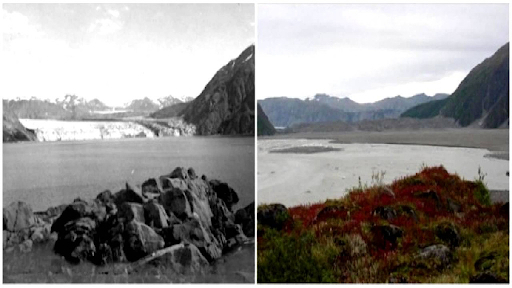 Carroll, Alaska Glacier, tháng 8 năm 1906 - tháng 9 năm 2003. 