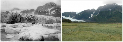 Sông băng Pedersen, Alaska, mùa hè năm 1917 - Mùa hè năm 2005. 