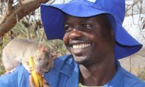 Chuyên gia động vật bất ngờ với ‘Chuột dò mìn’