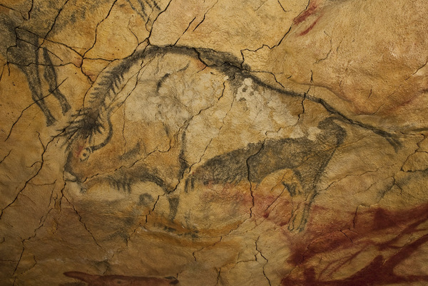 Bức tranh hang động vẽ bò rừng magdalenian trong hang Altamira của Tây Ban Nha .