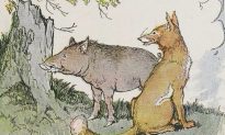Ngụ ngôn Aesop: Lợn rừng và Cáo