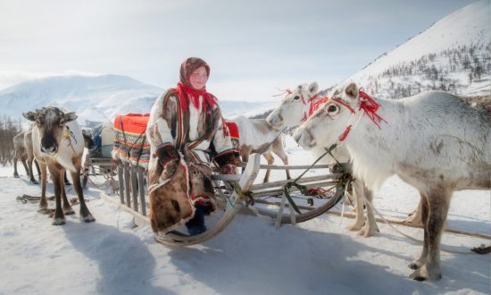 Loạt ảnh đáng kinh ngạc về cuộc sống du mục và những con tuần lộc ở Siberia, Nga