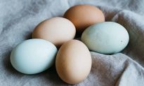 Trứng gà, trứng vịt, trứng ngỗng, trứng cút, loại nào tốt hơn? 2 loại trứng nên hạn chế