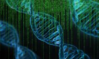 Các nhà khoa học lưu trữ thành công dữ liệu vào trong DNA của vi khuẩn sống